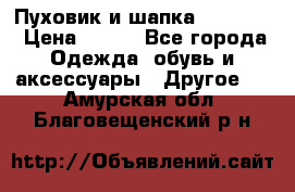 Пуховик и шапка  Adidas  › Цена ­ 100 - Все города Одежда, обувь и аксессуары » Другое   . Амурская обл.,Благовещенский р-н